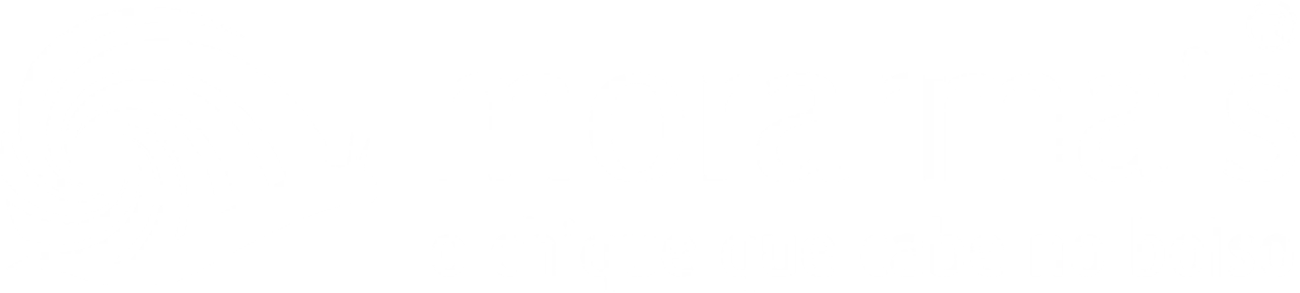 Image Not Found