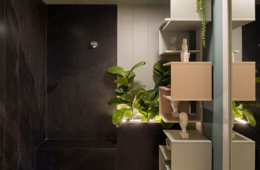 18 – OÁSIS FÍCUS